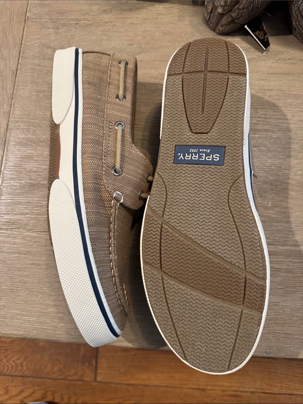 Canvas Sperry with memory foam - Picture 2 of 3
